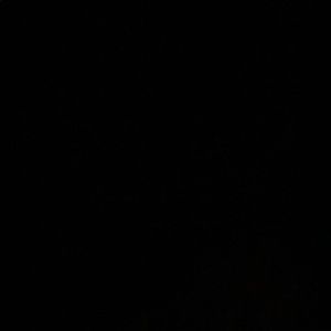 Meet your Posher, Celeste